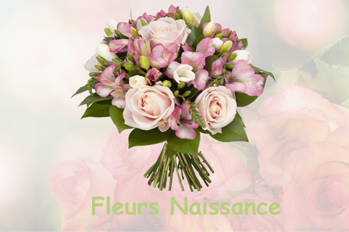 fleurs naissance TREBONS-SUR-LA-GRASSE