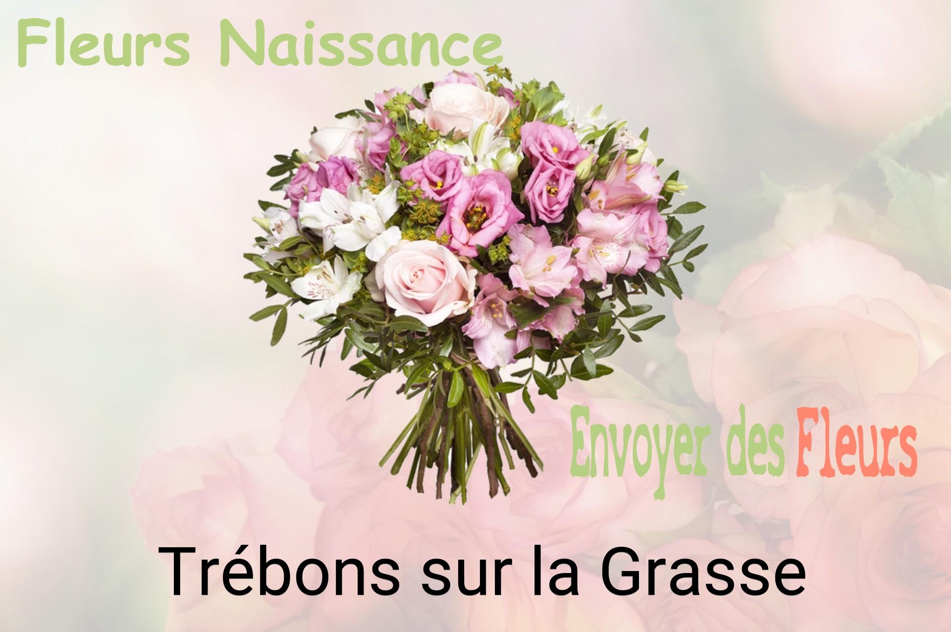 Bouquet de fleurs de naissance livré à Trébons-sur-la-Grasse