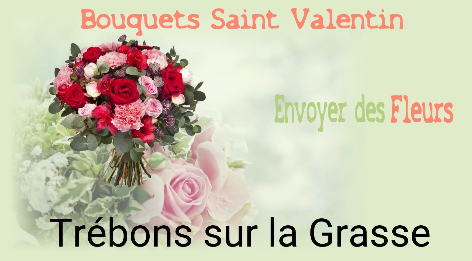 Roses de Saint-Valentin livrées à Trébons-sur-la-Grasse