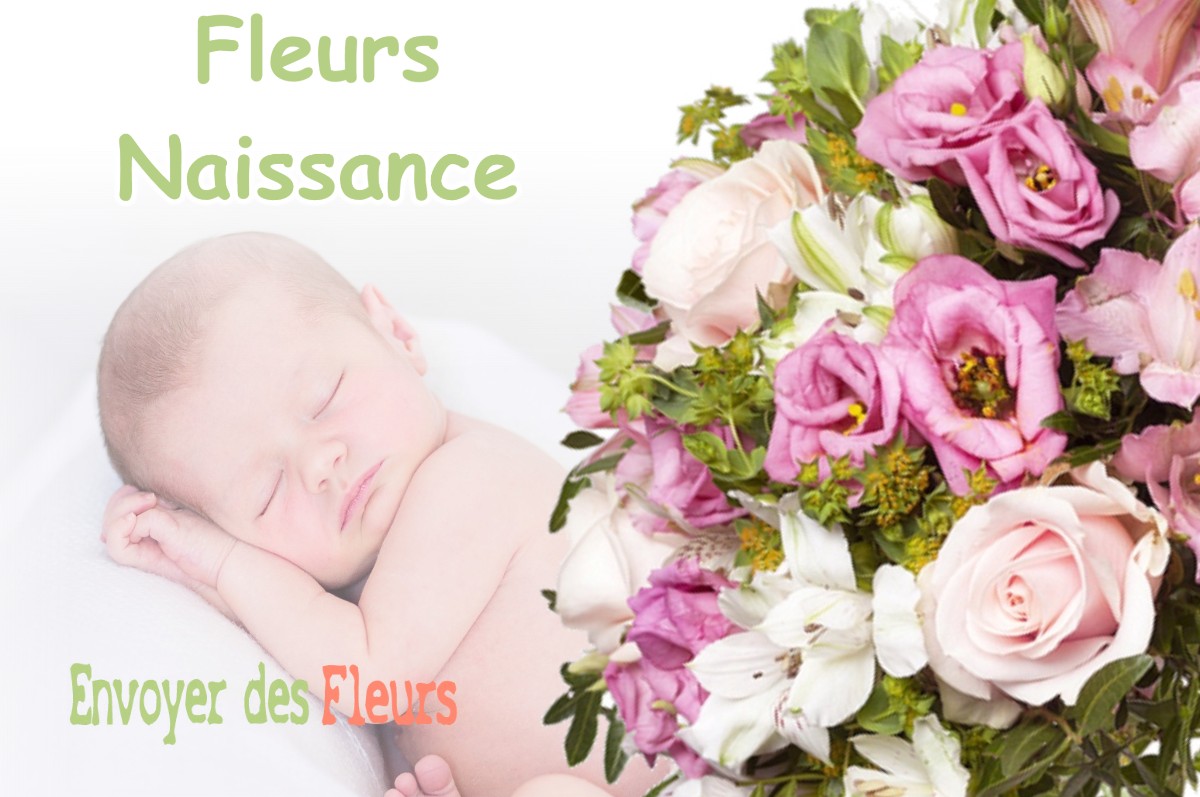 lIVRAISON FLEURS NAISSANCE à TREBONS-SUR-LA-GRASSE