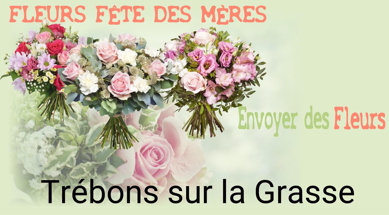Bouquet de Fête des Mères livré à Trébons-sur-la-Grasse